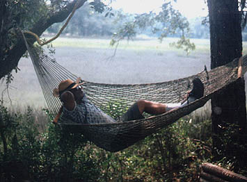 we island gumbo man photo